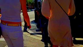 HOT COLLECION VISIBLE ASS