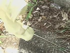 Adoring Asian brunette having sharking odyssey when she didn.t expected