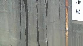 Teenage asians urinating