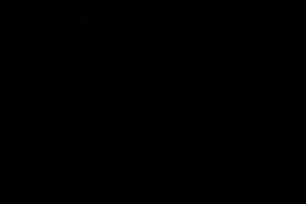 desperate ### dance in line woman 2