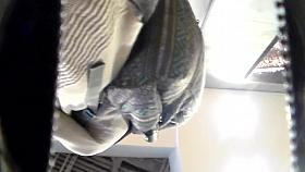 UF series(Student on campus upskirt)