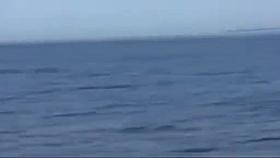 Nude Beach - Hot Couple Fuck