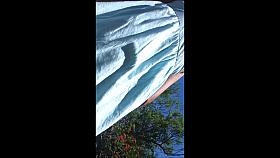 BACKYARD UPSKIRT
