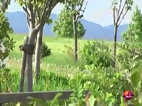 Babe got boob sharked and licked on some wooden table