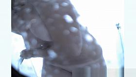 Hidden Beach, Spy Cam, Changing Room Video Unique