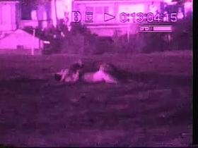 Night Beach Voyeur 7