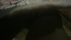 Upskirt from Saint-Petersburg subway