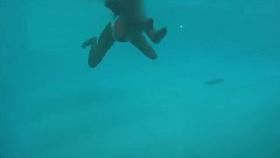 See-through White Swimsuit In Public Pool