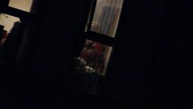 Window Voyeur