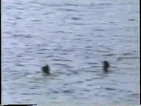 Beach candid topless from 1990