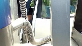 Gray Tights Cat Wash Ass Arched