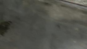 Public nudity as art performance