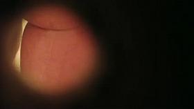 Wife's Pussy In The Shower