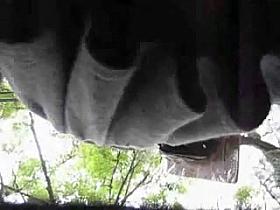 upskirt, bajo falda mix #37