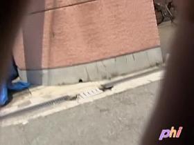 Perky skinny doll loses her pretty top during wicked sharking odyssey