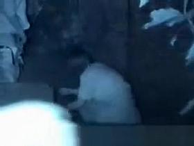 asian couple outdoor sex