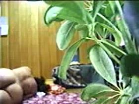 Indian Girl Masturbating in Panties