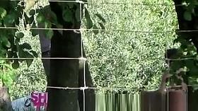 Mature Lesbians Changing in Nature