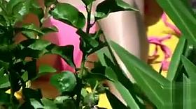 Bikini girl cameltoe in beach voyeur video