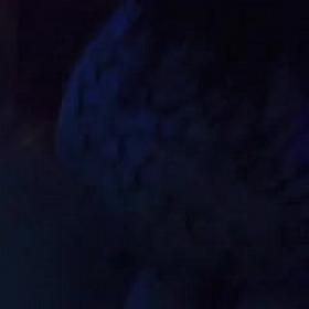 DAYUM THAT ASS IS RIGHT