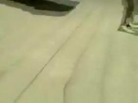 Belgian Politic Busted