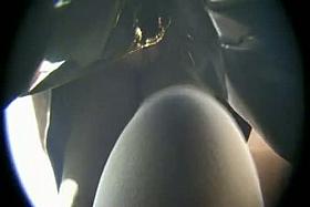 Sexy up skirt video of a chick wearing a hot stocking
