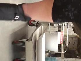 Lycaena flashing her butt plug!