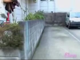 Don.t open the mail box before checking for skirt sharks