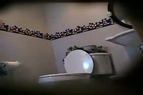 Several women spied while they pissed