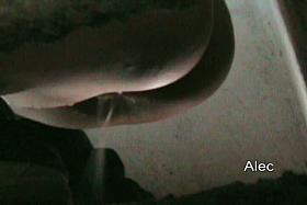 Hot brunette on a hidden piss cam