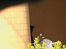 Oriental babe on the spy cam sharking video 