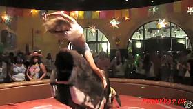 Stunning babes taking the bull ride