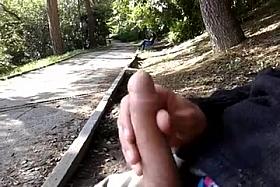 Flashing in the park