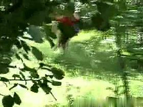 sofi-voyeur-01_r.wmv