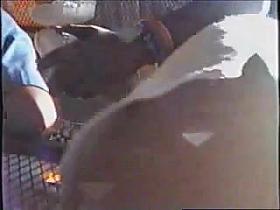 upskirt bajo falda 2 (MX)