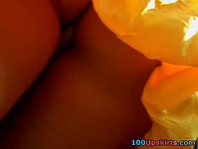 Sunflower dilettante upskirt