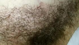 Hidden Spy Cams Scene