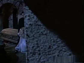 Incredible peeper Voyeur porn video