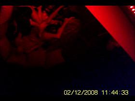 dutch hooker Hoogvliet