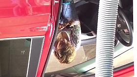 Car wash Mexican milf jeans 4