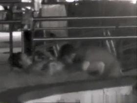 Guy eating his chick's pussy in public place