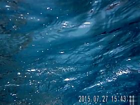 Gorgeous babes fool around with their men in the pool