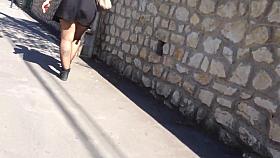 big fat ass in mini skirt in the street