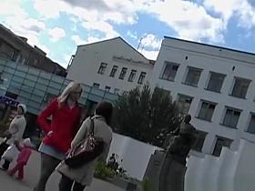 Sexy blonde wearing tiger pattern stockings upskirt