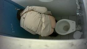 Saucy bimbos get taped urinating in the public toilet