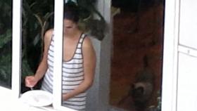 sexy bird in the window making cereal wearing a thong