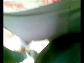 Encoxada 285: another puma that liked getting rubbed