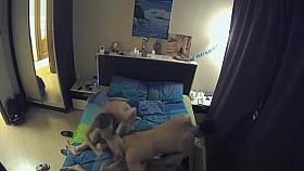 Hot Bisexual MMF 2 (Voyeur Cam)