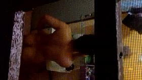 Spying on my sister in law in the shower part 2