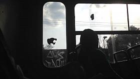 Mi primer Flash en un autobus